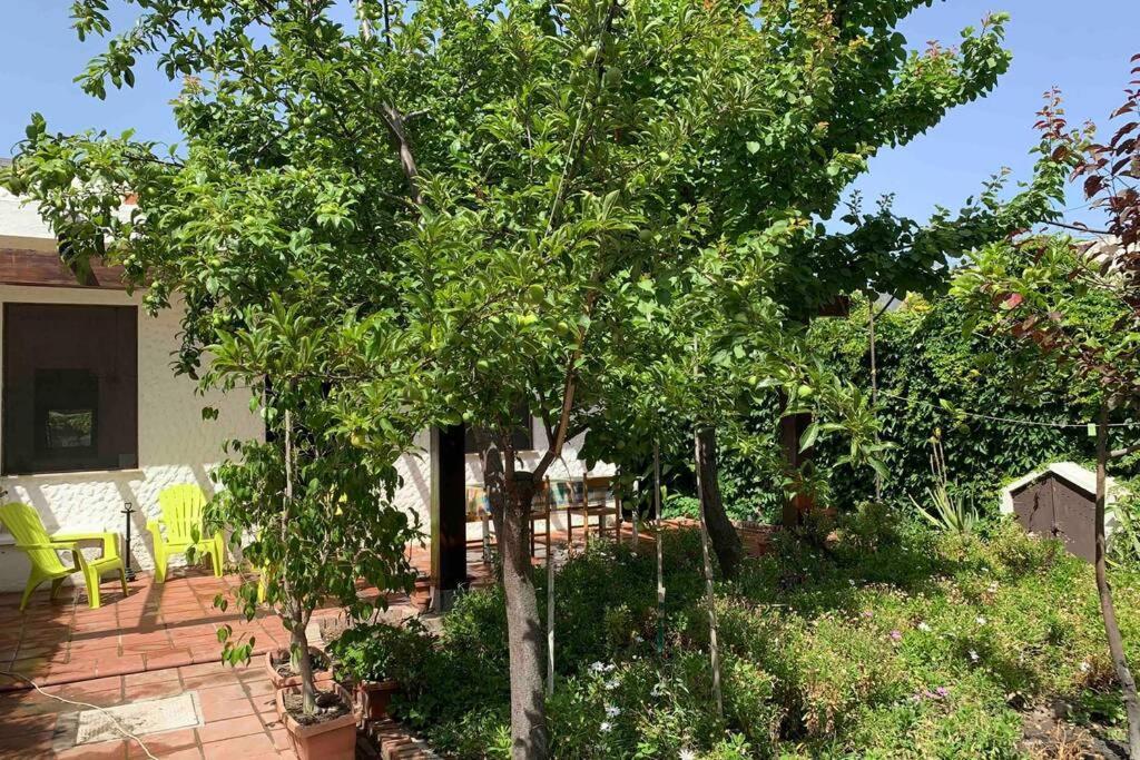 Casa Tranquilla A Pochissimi Passi Dal Mare Villa Sant'Andrea  Exterior photo